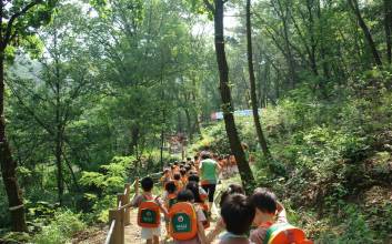 "피톤치드와 함께 설 연휴" 경북 휴양림에서 힐링하세요!