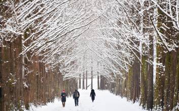 부담 없이 즐기는 설 문화 나들이…무료·할인 혜택 주목 [가성피아]